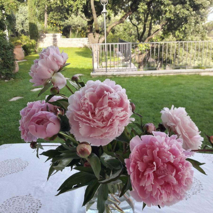 Provence Dodo Bed and Breakfast Villeneuve  Buitenkant foto